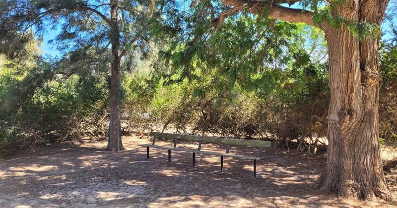 4 Bedroom Property for Sale in Hopefield Western Cape